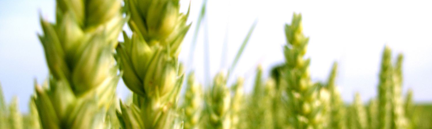 Jeudi 11 septembre 2025